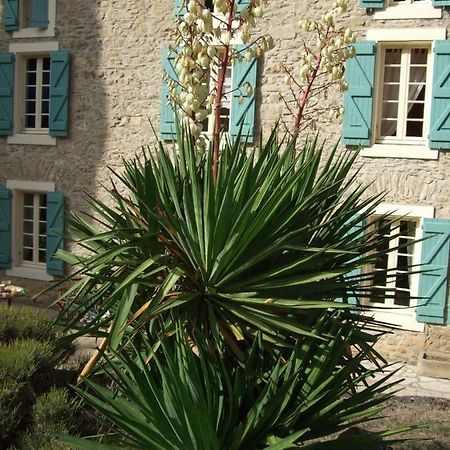 Hotel Domaine Saint Andrieu à Greffeil Extérieur photo