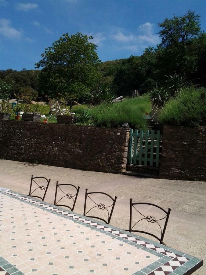 Hotel Domaine Saint Andrieu à Greffeil Extérieur photo