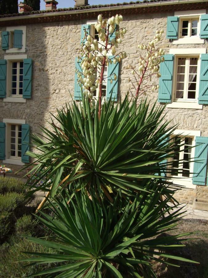 Hotel Domaine Saint Andrieu à Greffeil Extérieur photo